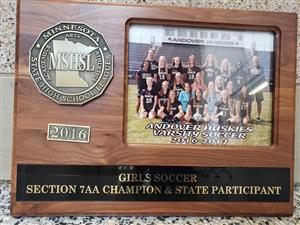 Girls Soccer Section 7AA Champion State Participant 